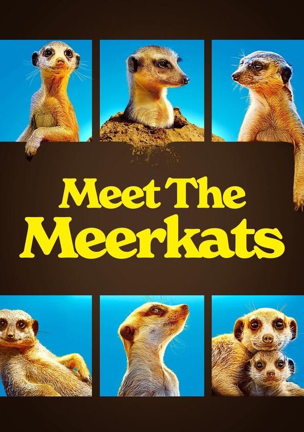 Meet the Meerkats - Season 1 Meet the Meerkats - Season 1