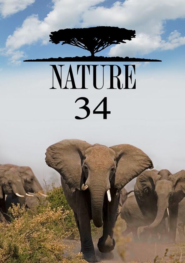 Nature - Season 34 Nature - Season 34