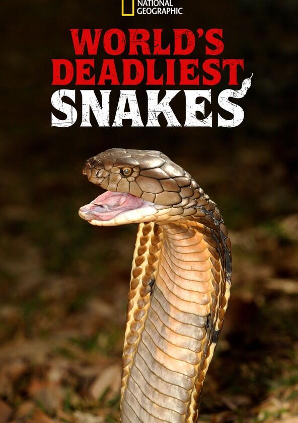 World's Deadliest Snakes - Season 1 World's Deadliest Snakes - Season 1