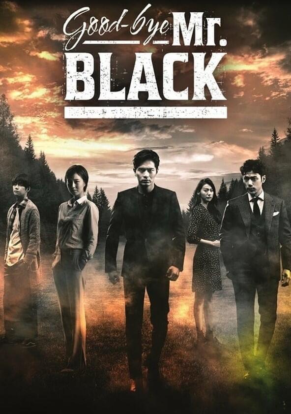 Goodbye Mr. Black - Season 1