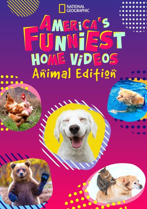 America's Funniest Home Videos: Animal Edition - Season 1 America's Funniest Home Videos: Animal Edition - Season 1