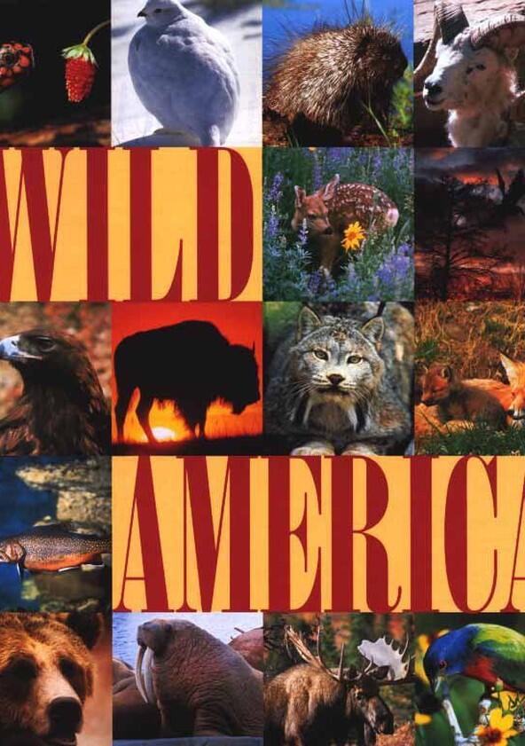 Marty Stouffer's Wild America - Season 2 Marty Stouffer's Wild America - Season 2