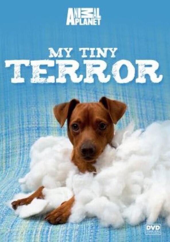 My Tiny Terror - Season 1 My Tiny Terror - Season 1