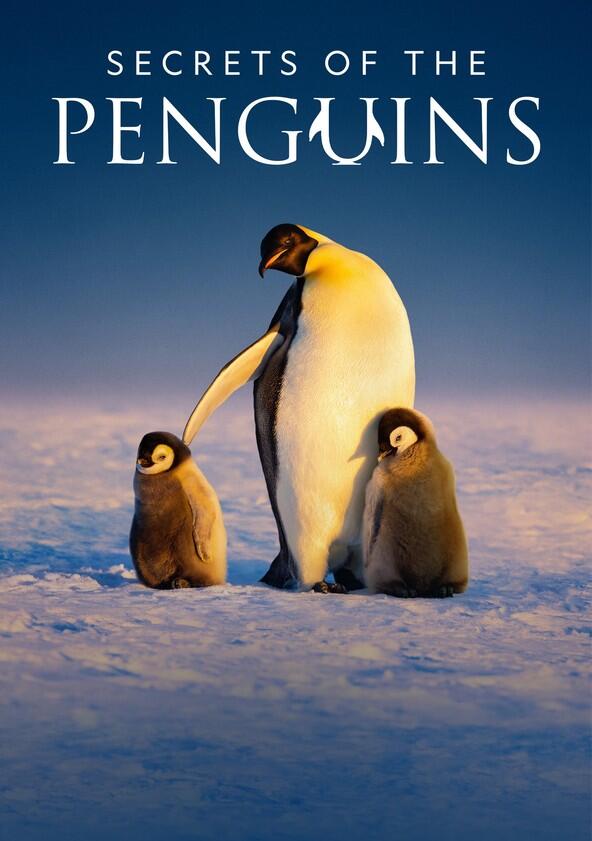 Secrets of the Penguins - Season 1