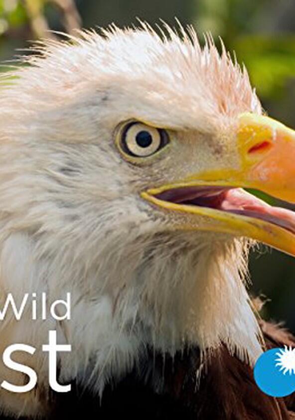 Wild Wild East - Season 1 Wild Wild East - Season 1