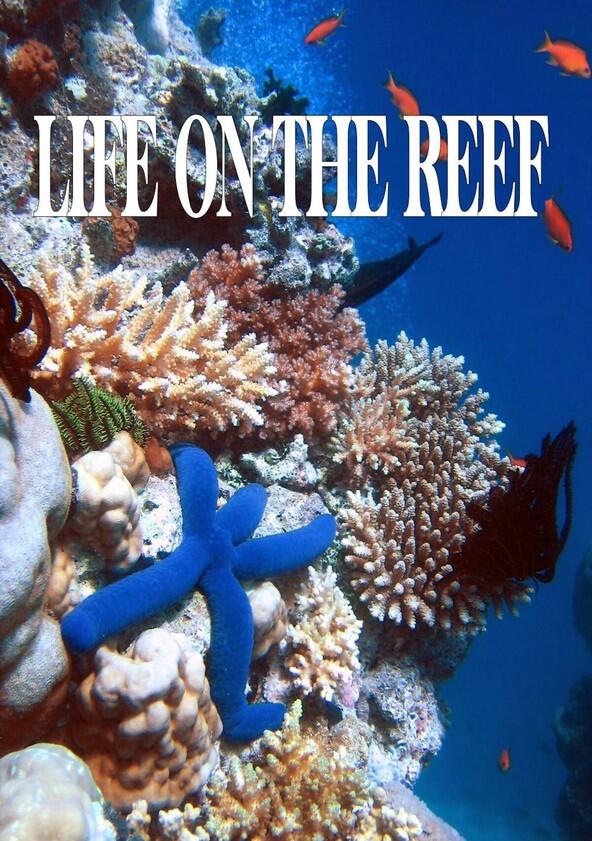 Life on the Reef - Season 1 Life on the Reef - Season 1