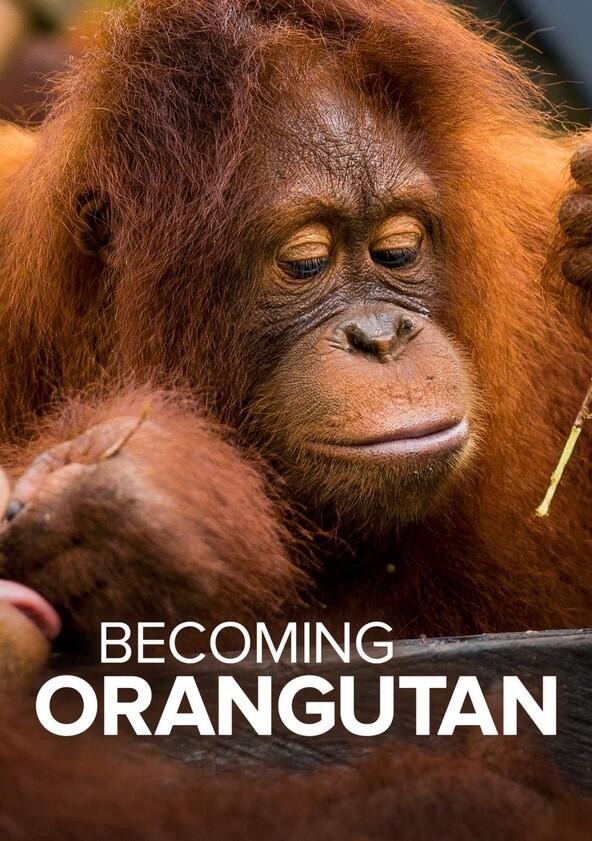 Becoming Orangutan - Season 1 Becoming Orangutan - Season 1