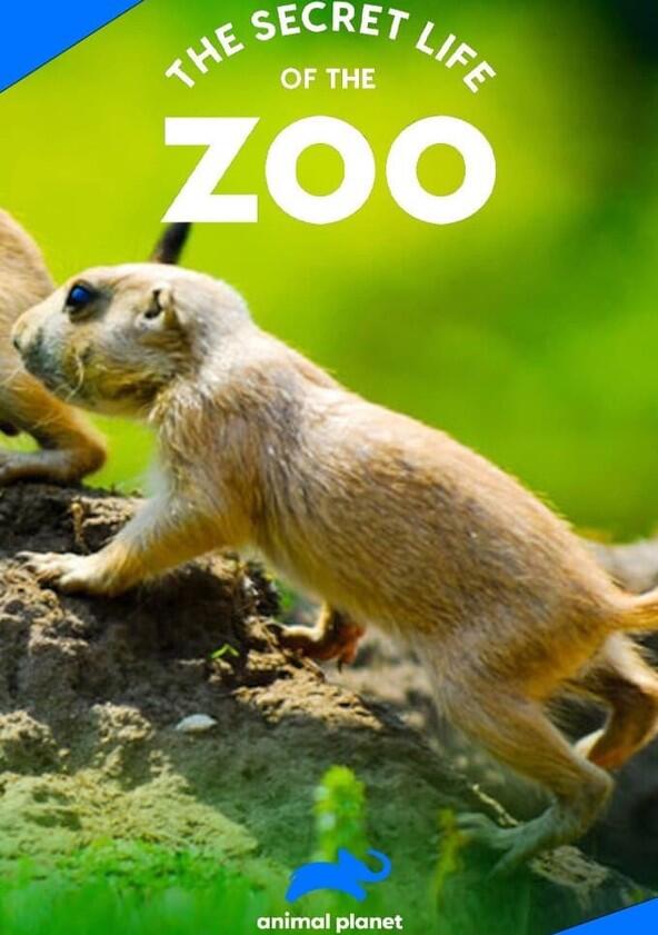 The Secret Life of the Zoo - Season 8 The Secret Life of the Zoo - Season 8