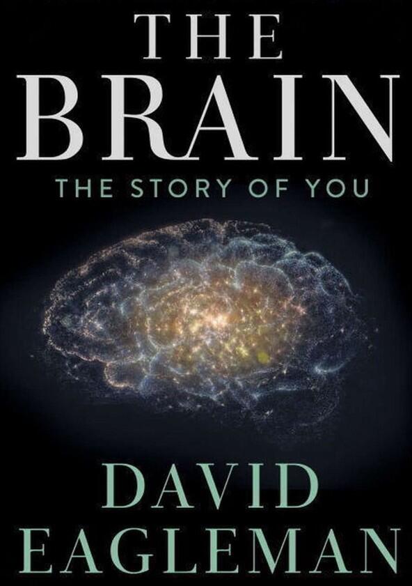 The Brain with David Eagleman - Season 1 The Brain with David Eagleman - Season 1