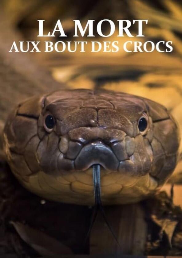 Extreme Snakes - Season 1