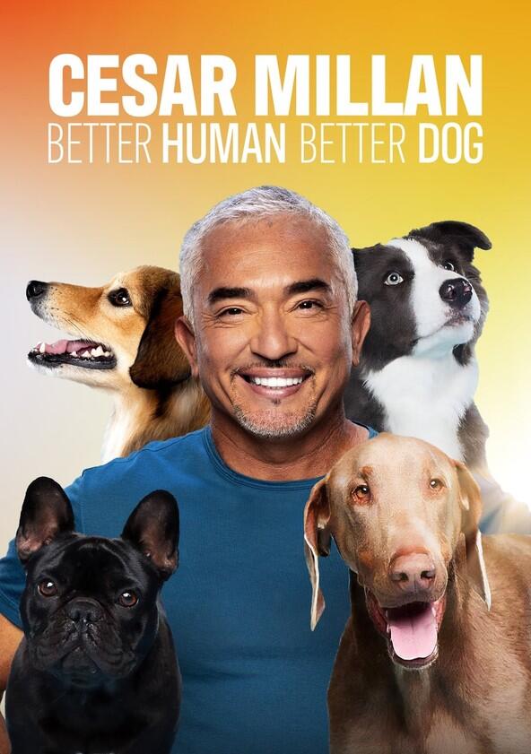 Cesar Millan: Better Human Better Dog - Season 4 Cesar Millan: Better Human Better Dog - Season 4