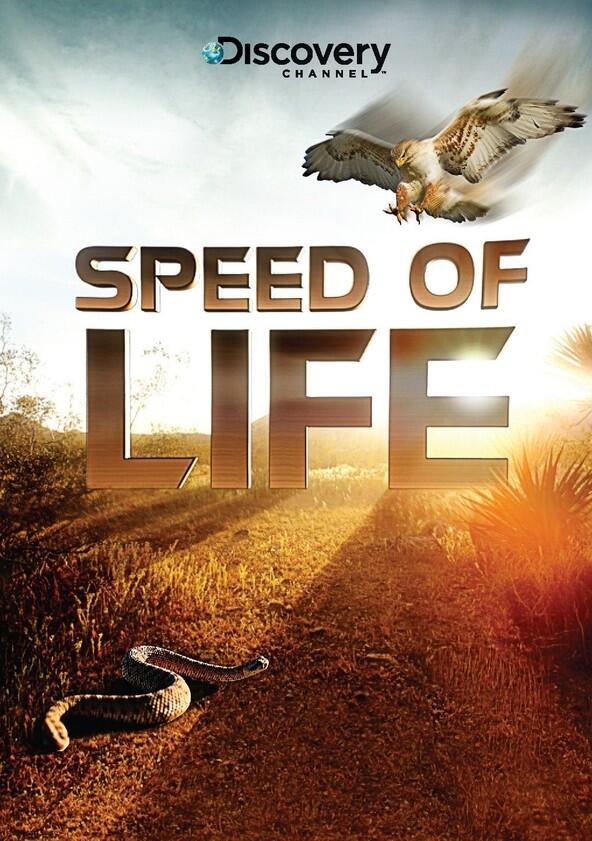 Speed of Life - Season 1