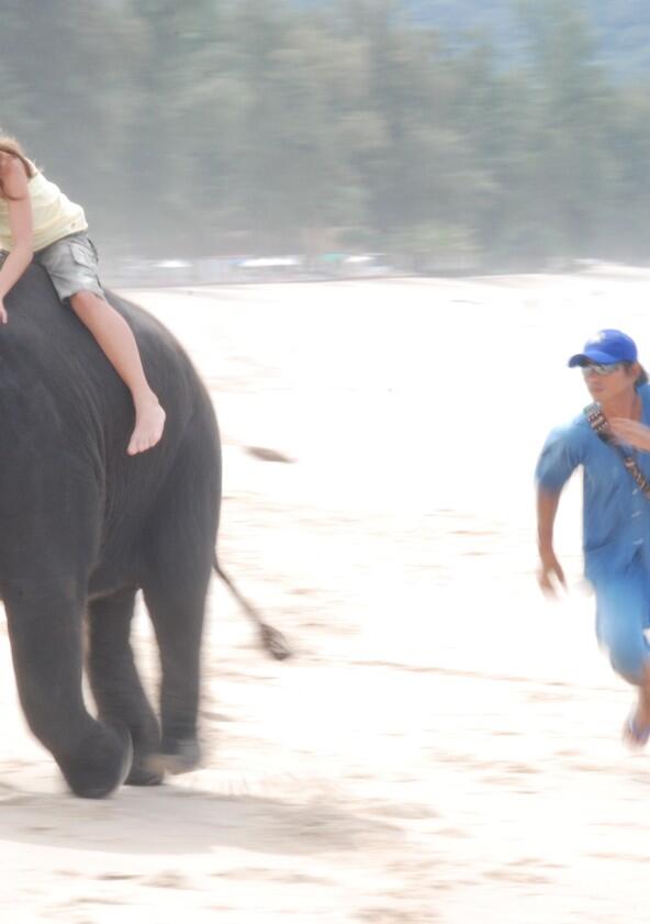 Hero Animals Hero Animals