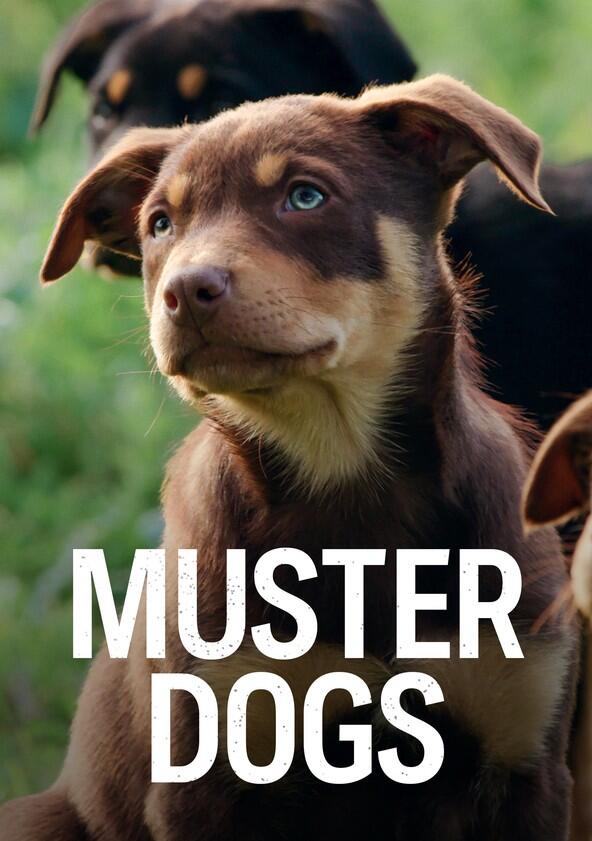 Muster Dogs - Season 3 Muster Dogs - Season 3