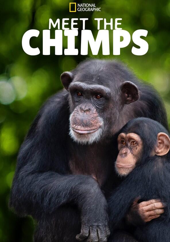 Meet the Chimps - Season 1 Meet the Chimps - Season 1