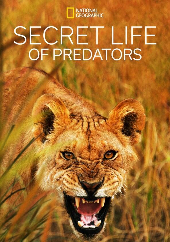 Secret Life of Predators - Season 1