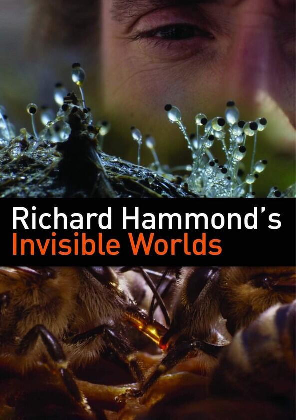 Richard Hammond's Invisible Worlds - Season 1 Richard Hammond's Invisible Worlds - Season 1