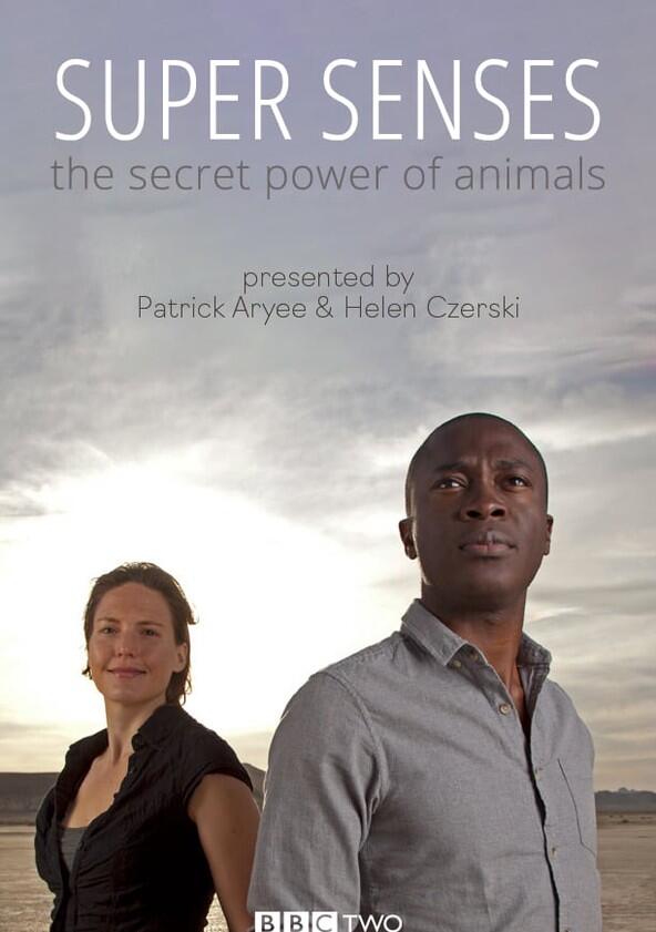 Super Senses: The Secret Power of Animals - Season 1 Super Senses: The Secret Power of Animals - Season 1