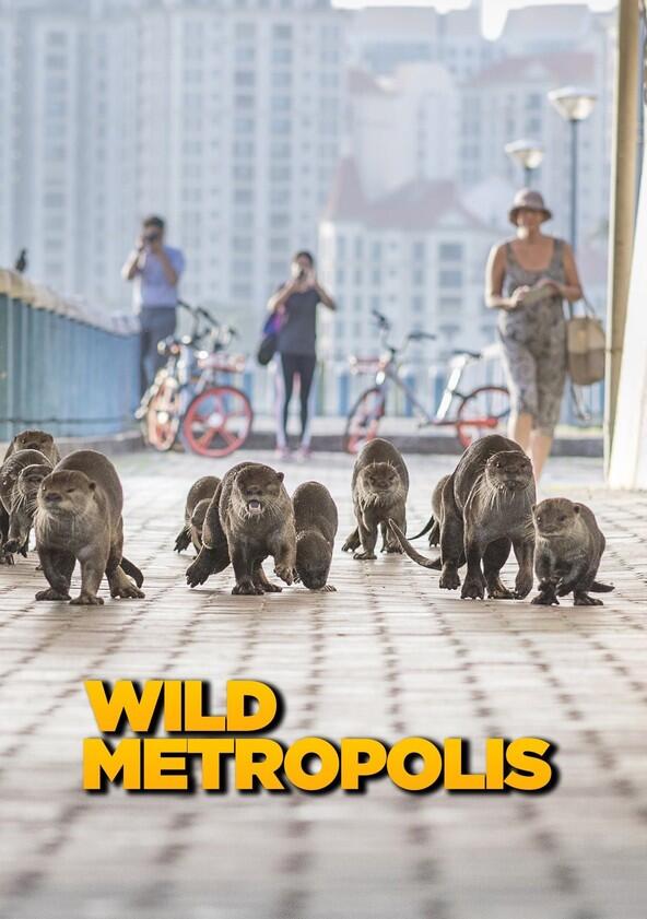 Wild Metropolis - Season 1 Wild Metropolis - Season 1