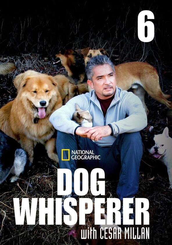 The Dog Whisperer - Season 6 The Dog Whisperer - Season 6