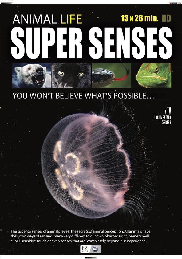 Animal Super Senses - Season 1 Animal Super Senses - Season 1