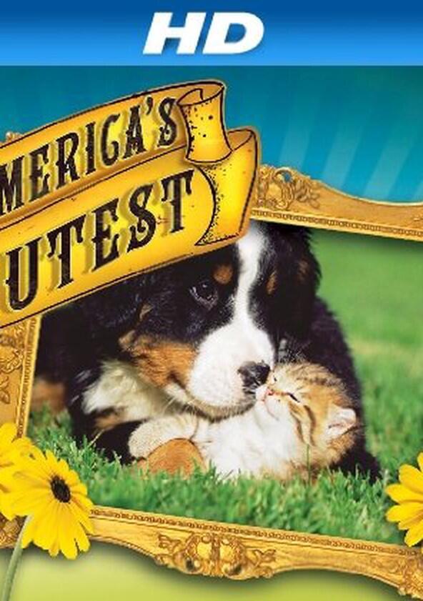 America's Cutest - Season 1 America's Cutest - Season 1