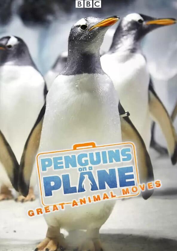 Penguins on a Plane: Great Animal Moves - Season 1 Penguins on a Plane: Great Animal Moves - Season 1