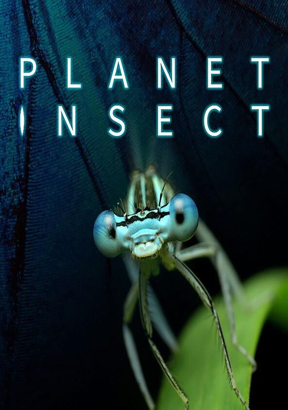 Planet Insect - Season 1 Planet Insect - Season 1