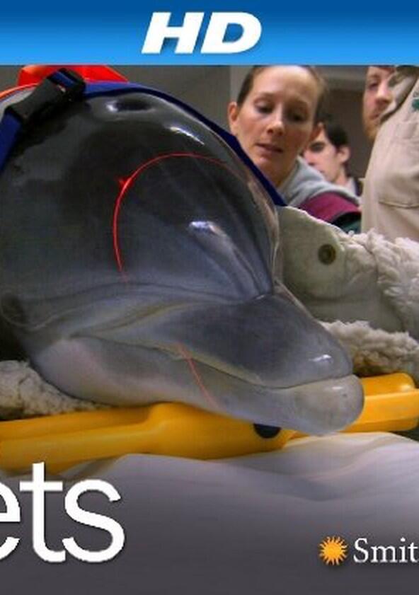 Zoo Vets - Season 1 Zoo Vets - Season 1