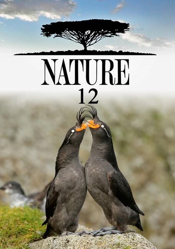 Nature - Season 12 Nature - Season 12