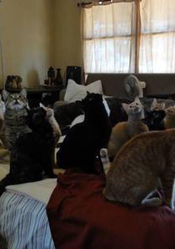 Confessions: Animal Hoarding - Season 2 Confessions: Animal Hoarding - Season 2