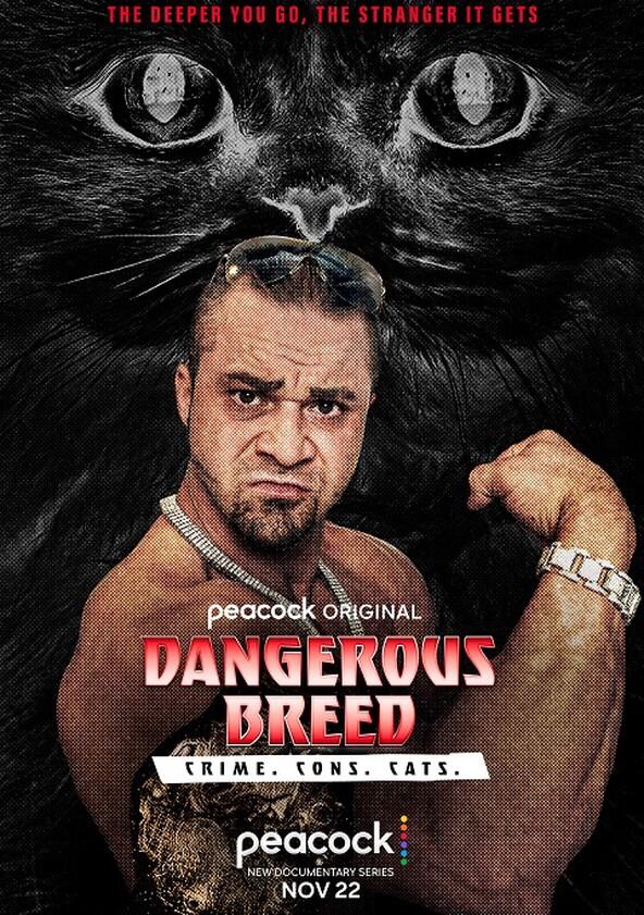 Dangerous Breed: Crime. Cons. Cats. - Season 1 Dangerous Breed: Crime. Cons. Cats. - Season 1