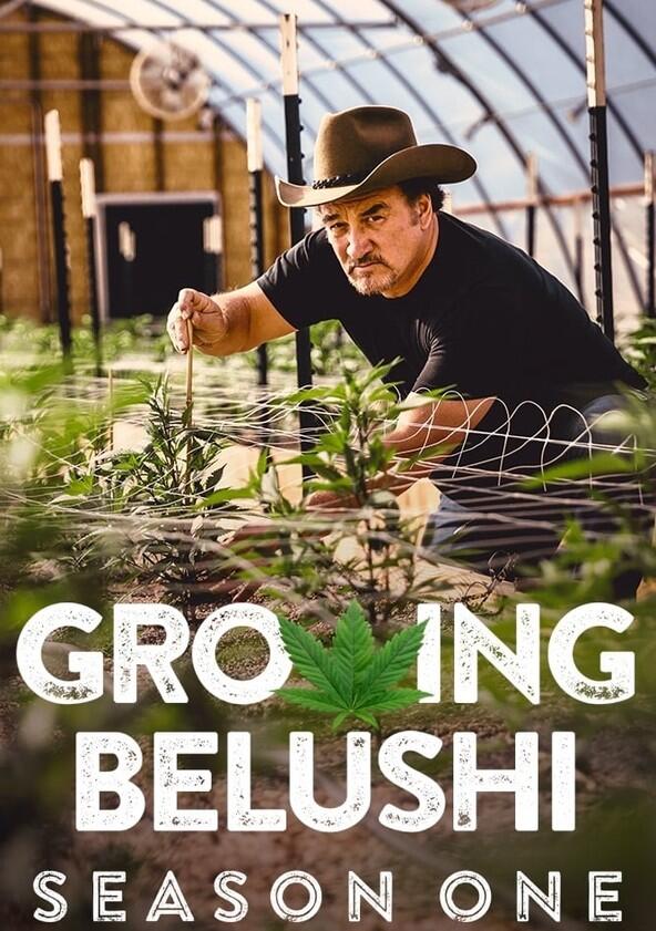 Growing Belushi - Season 1 Growing Belushi - Season 1