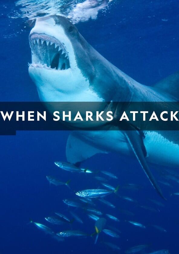 When Sharks Attack - Season 6 When Sharks Attack - Season 6