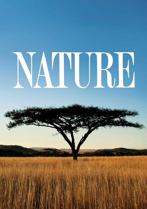 Nature - Season 43 Nature - Season 43