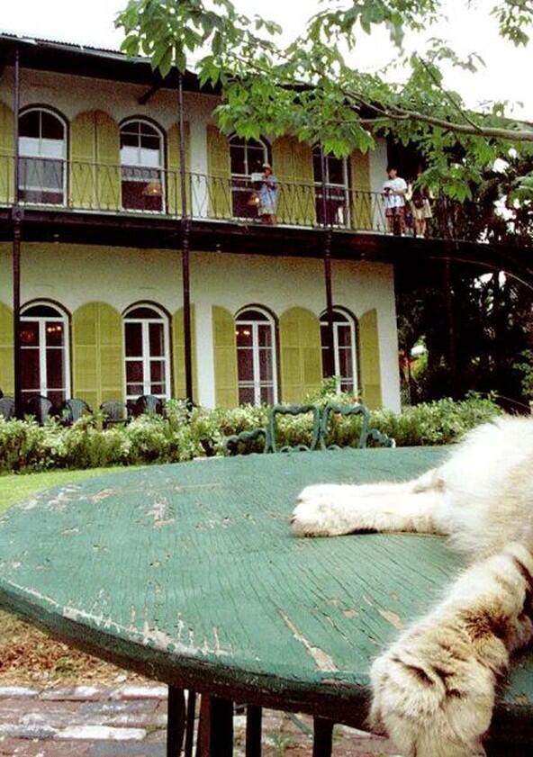 Must Love Cats - Season 1 Must Love Cats - Season 1