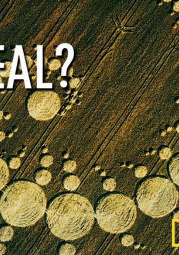 Is It Real? - Season 1 Is It Real? - Season 1