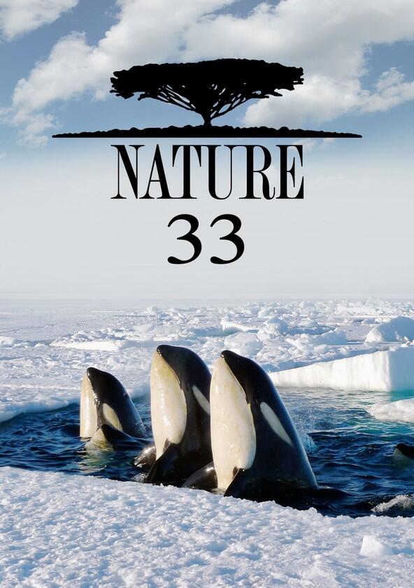 Nature - Season 33 Nature - Season 33