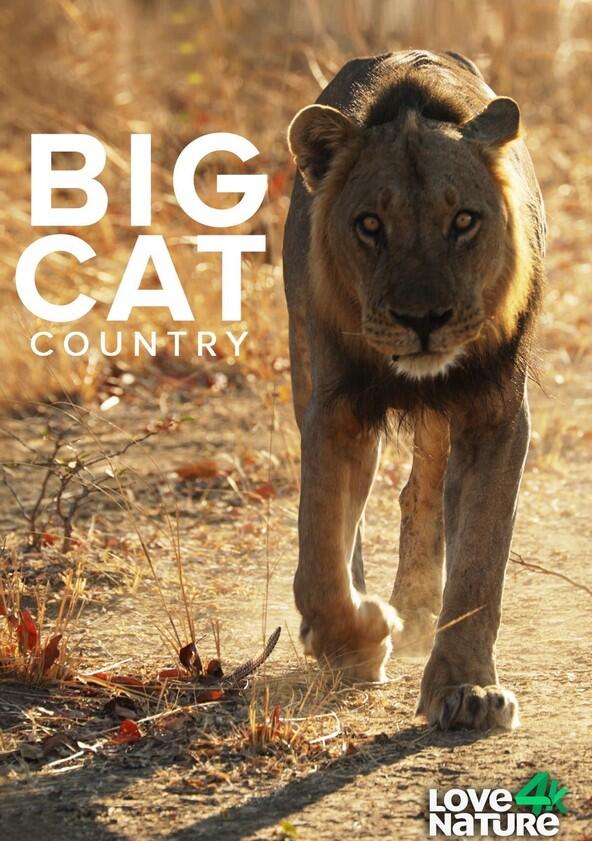 Big Cat Country - Season 1 Big Cat Country - Season 1