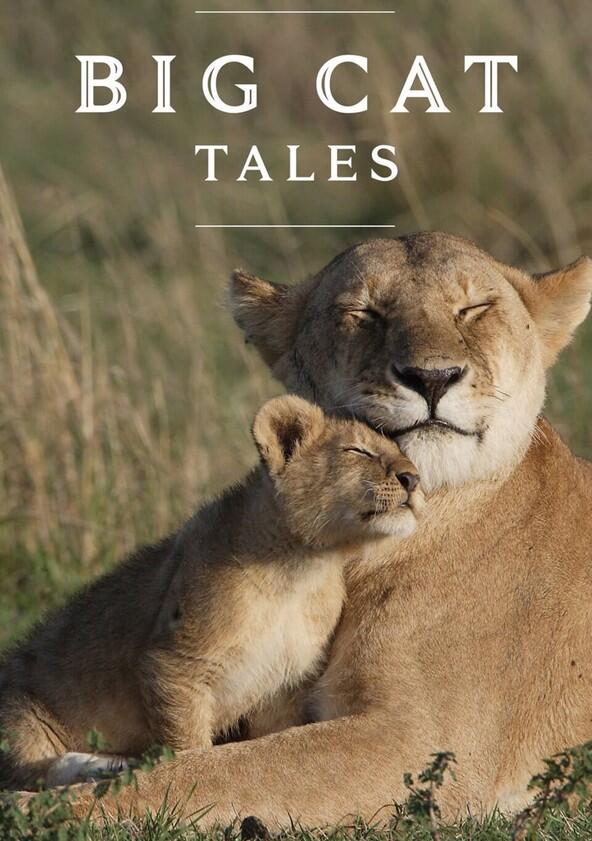 Big Cat Tales - Season 2 Big Cat Tales - Season 2