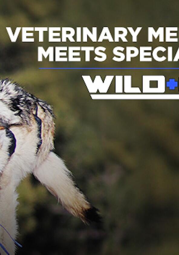 Wild Ops - Season 1 Wild Ops - Season 1