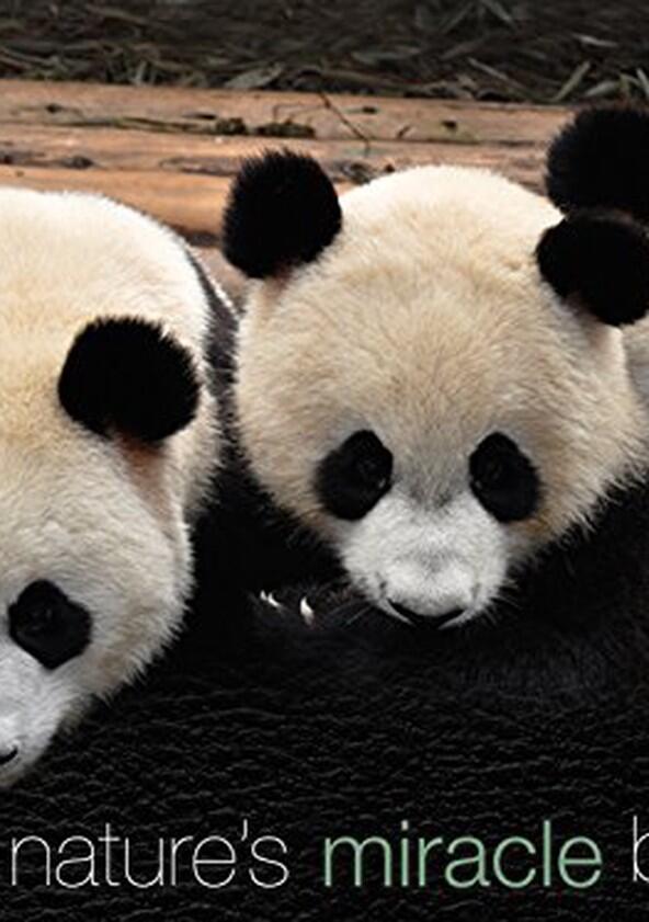 Nature's Miracle Babies - Season 1 Nature's Miracle Babies - Season 1