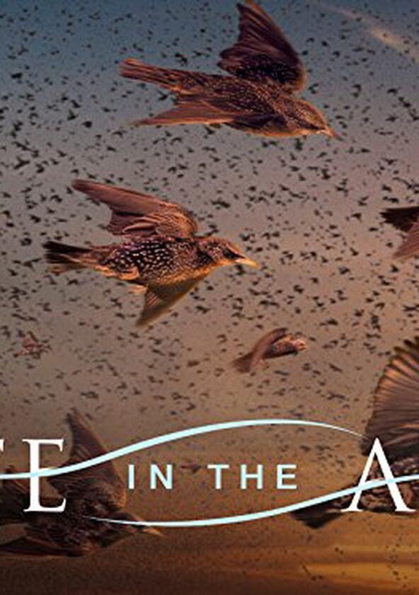 Life in the Air - Season 1 Life in the Air - Season 1