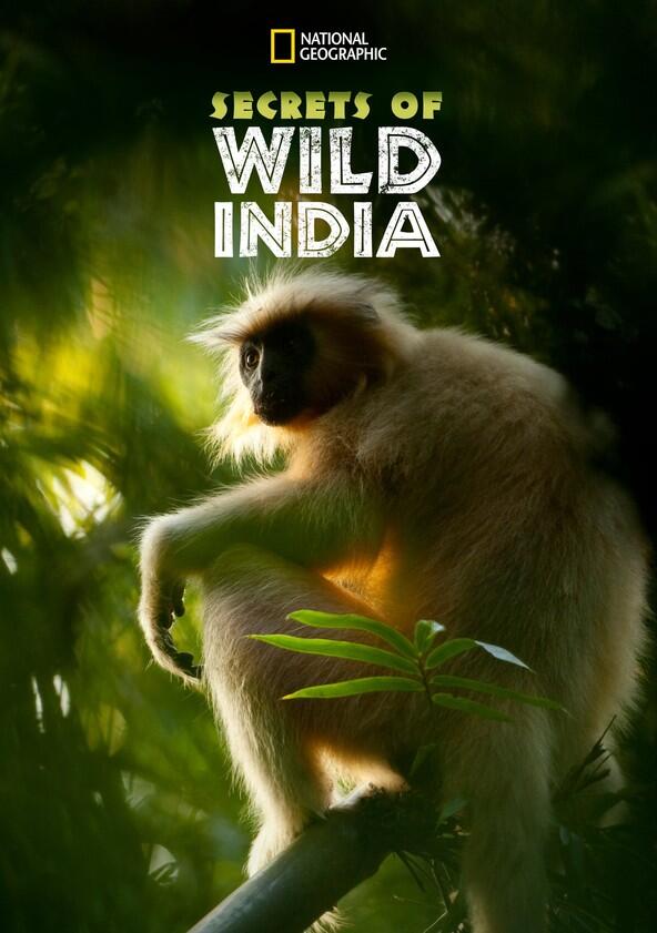 Secrets of Wild India - Season 1 Secrets of Wild India - Season 1