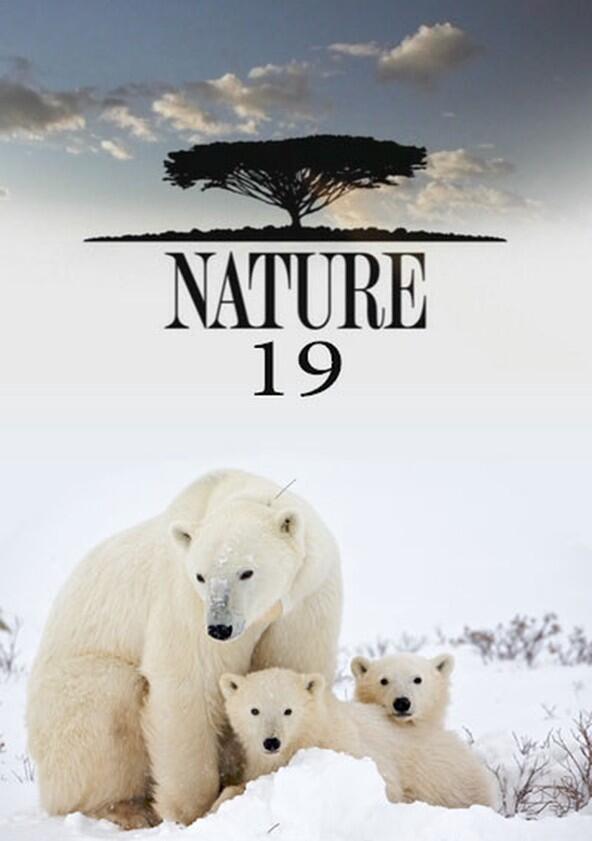 Nature - Season 19 Nature - Season 19