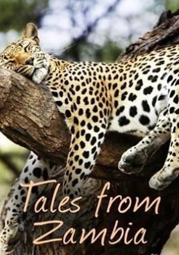 Tales from Zambia - Season 2 Tales from Zambia - Season 2