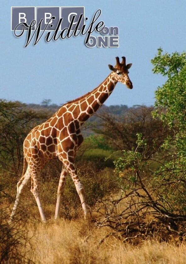 Wildlife on One - Season 2 Wildlife on One - Season 2