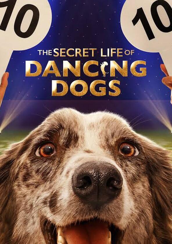 The Secret Life of Dancing Dogs - Season 1 The Secret Life of Dancing Dogs - Season 1