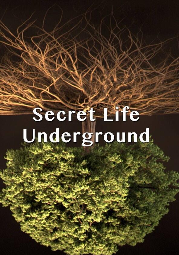 Secret Life Underground - Season 1 Secret Life Underground - Season 1