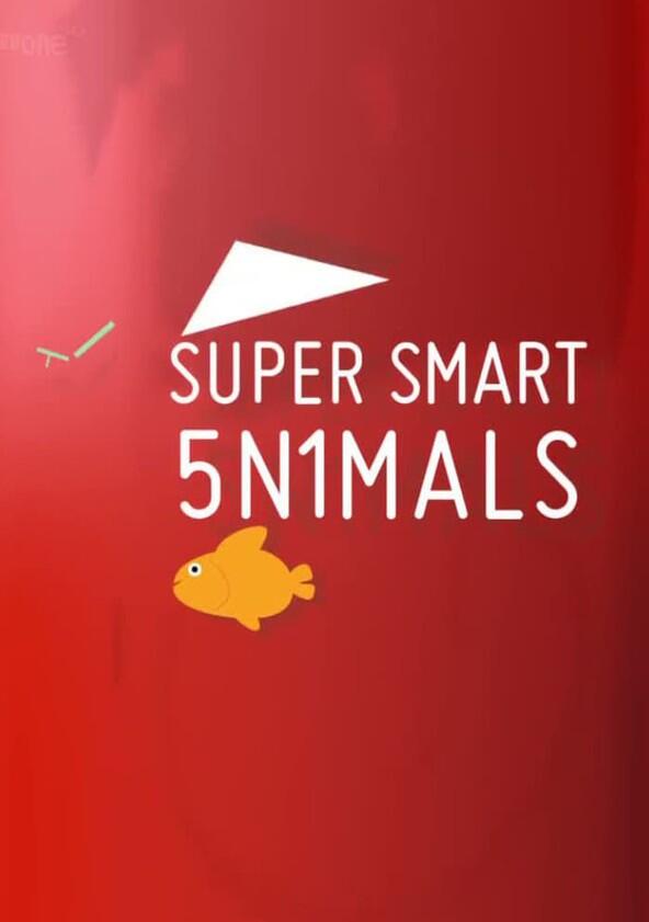 Super Smart Animals - Season 1 Super Smart Animals - Season 1